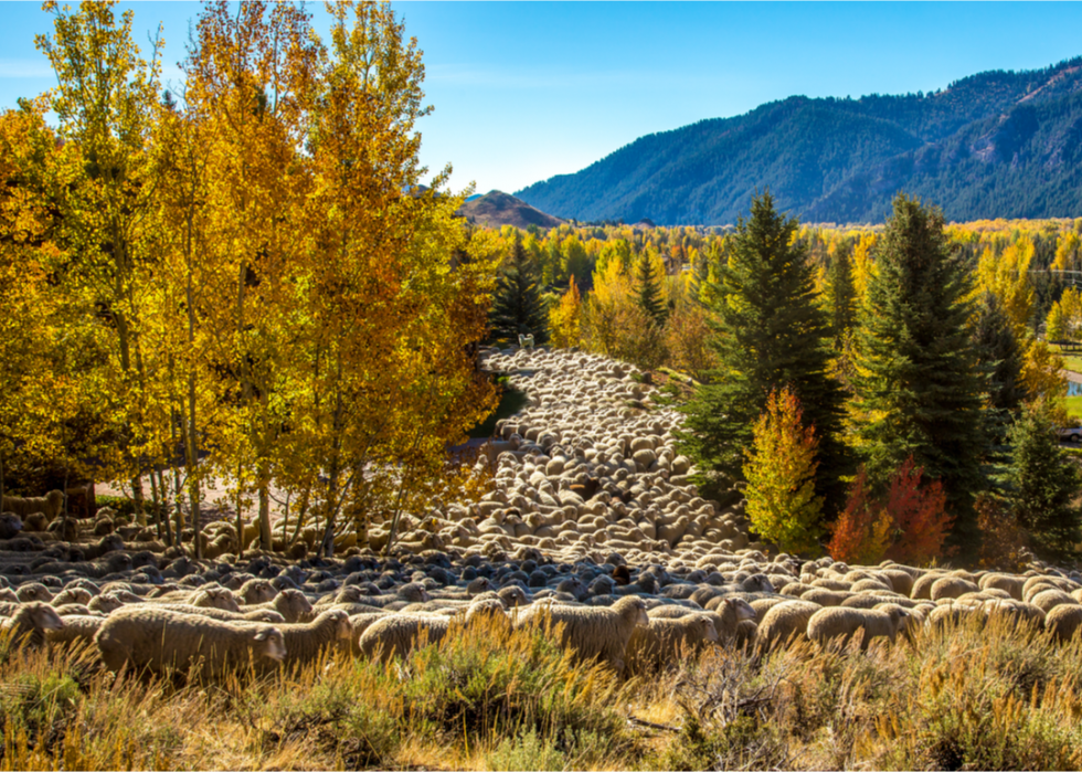 De magnifiques photos d automne dans tous les états 