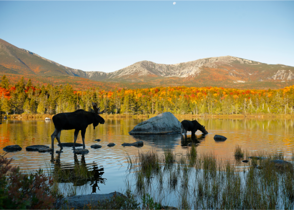 De magnifiques photos d automne dans tous les états 