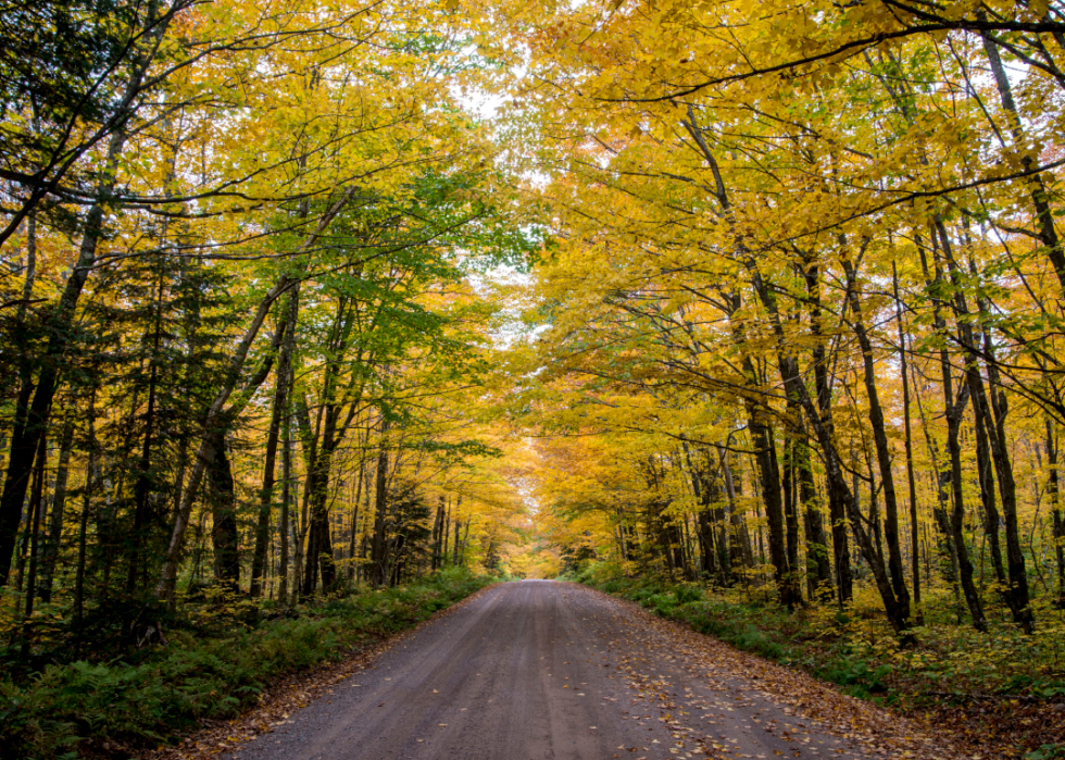 De magnifiques photos d automne dans tous les états 