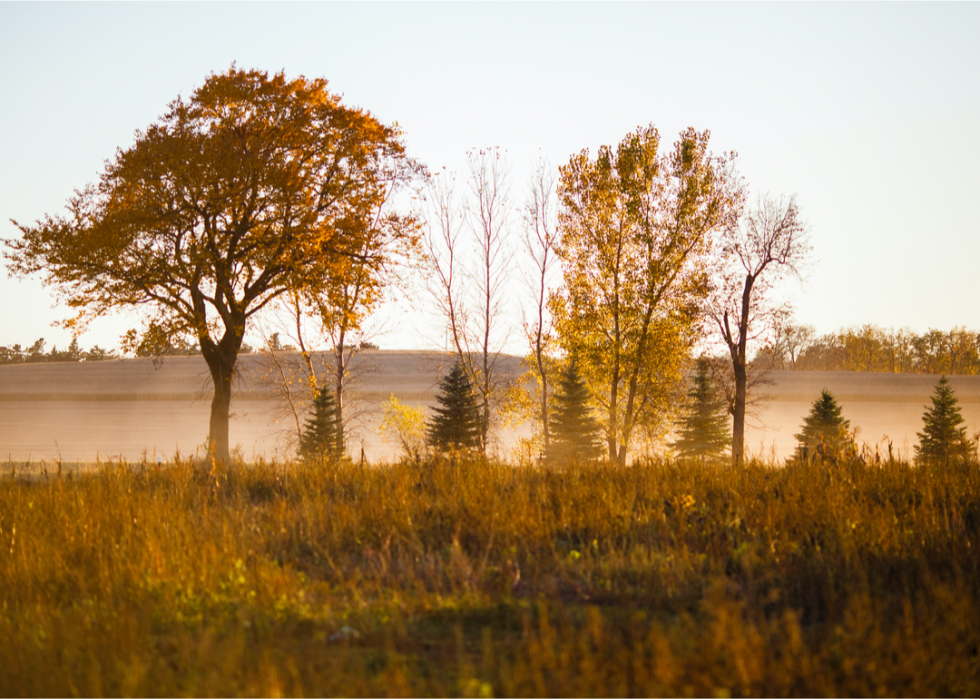 De magnifiques photos d automne dans tous les états 