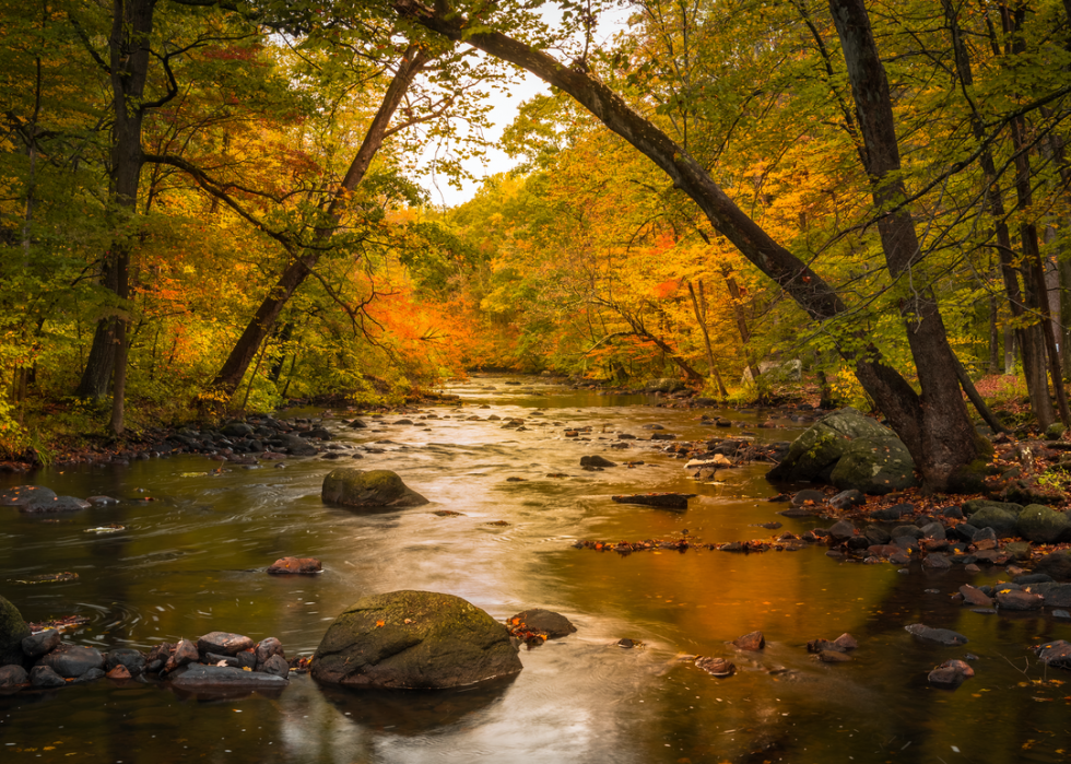 De magnifiques photos d automne dans tous les états 