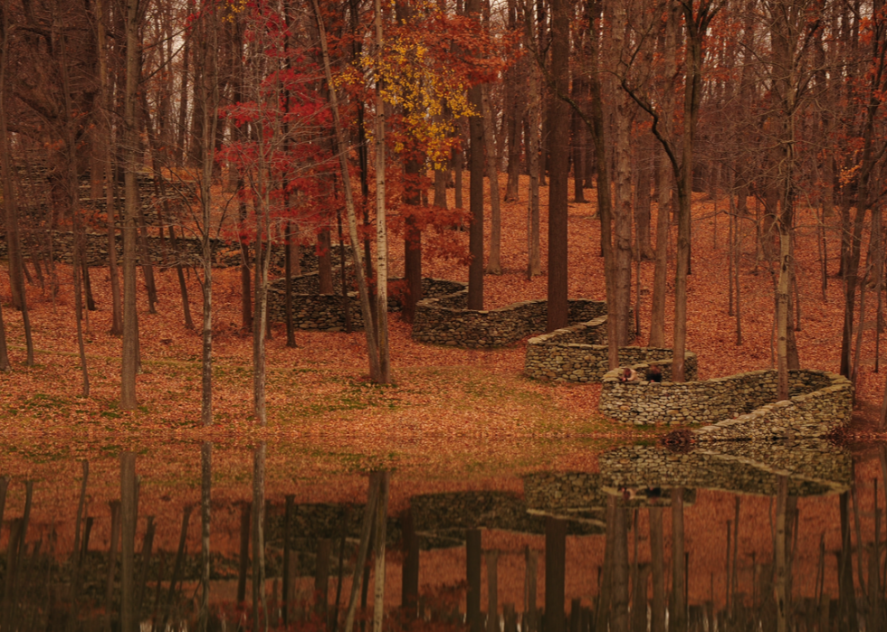 De magnifiques photos d automne dans tous les états 