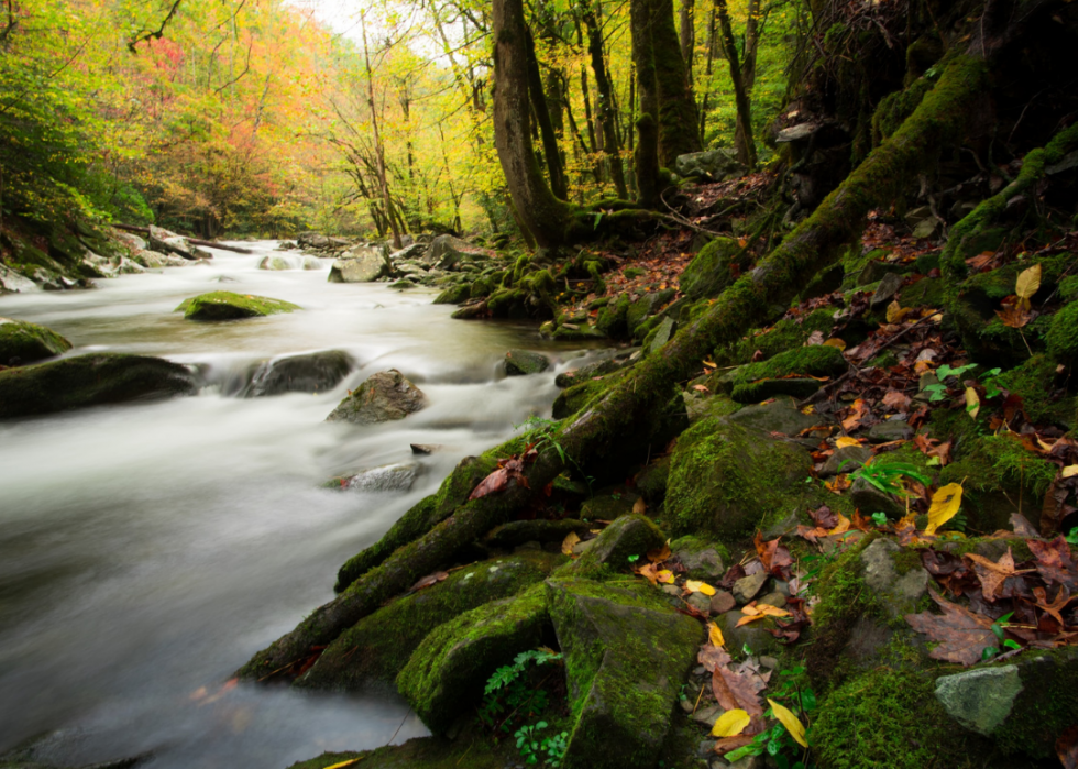 De magnifiques photos d automne dans tous les états 