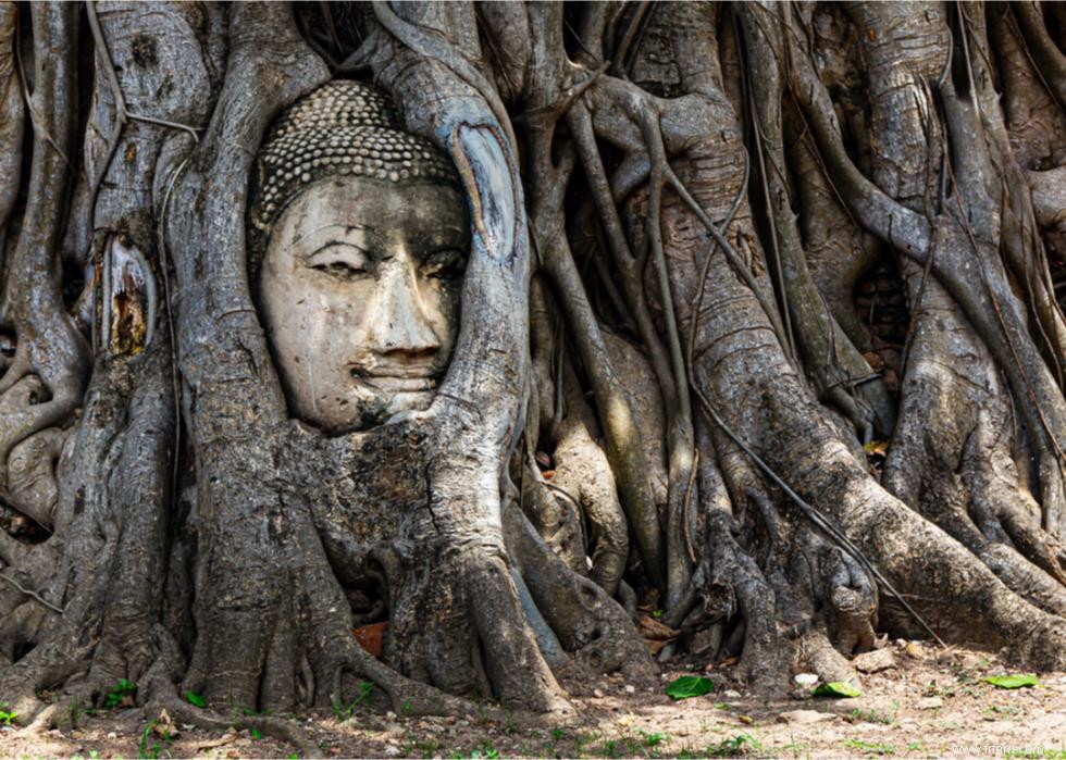 50 sites culturels fascinants du patrimoine mondial de l UNESCO à travers le monde 