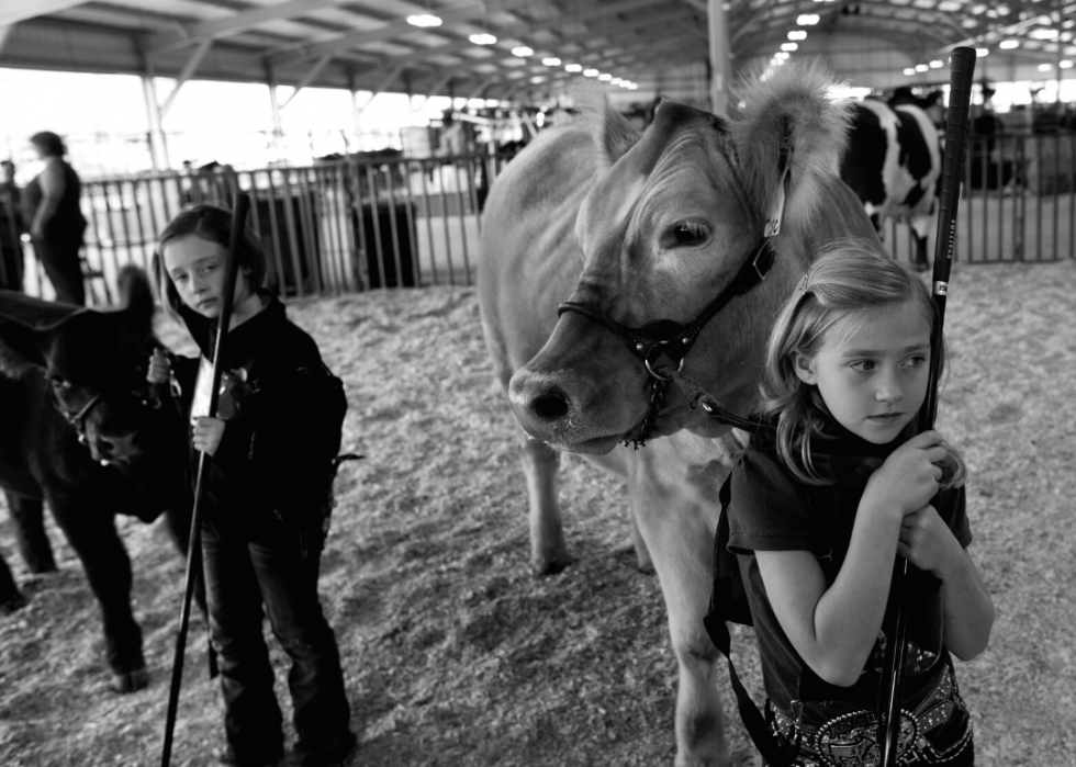 Photos historiques de l état et de la foire du comté de chaque état 