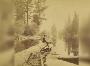 Des photos vintage qui montrent la beauté des parcs nationaux américains 