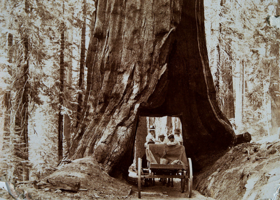 Des photos vintage qui montrent la beauté des parcs nationaux américains 