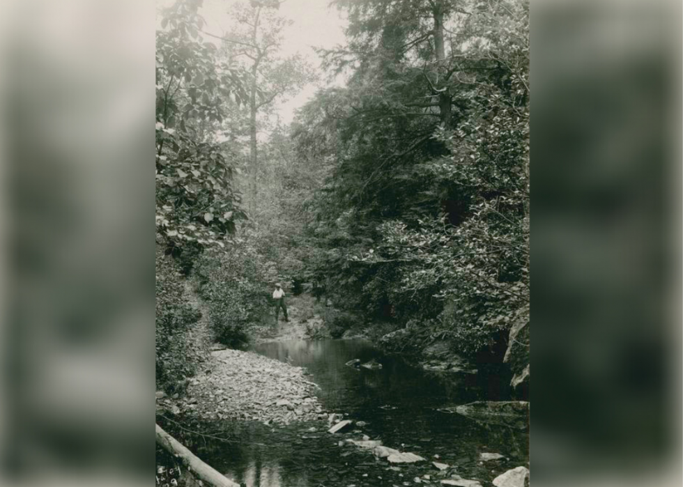 Des photos vintage qui montrent la beauté des parcs nationaux américains 