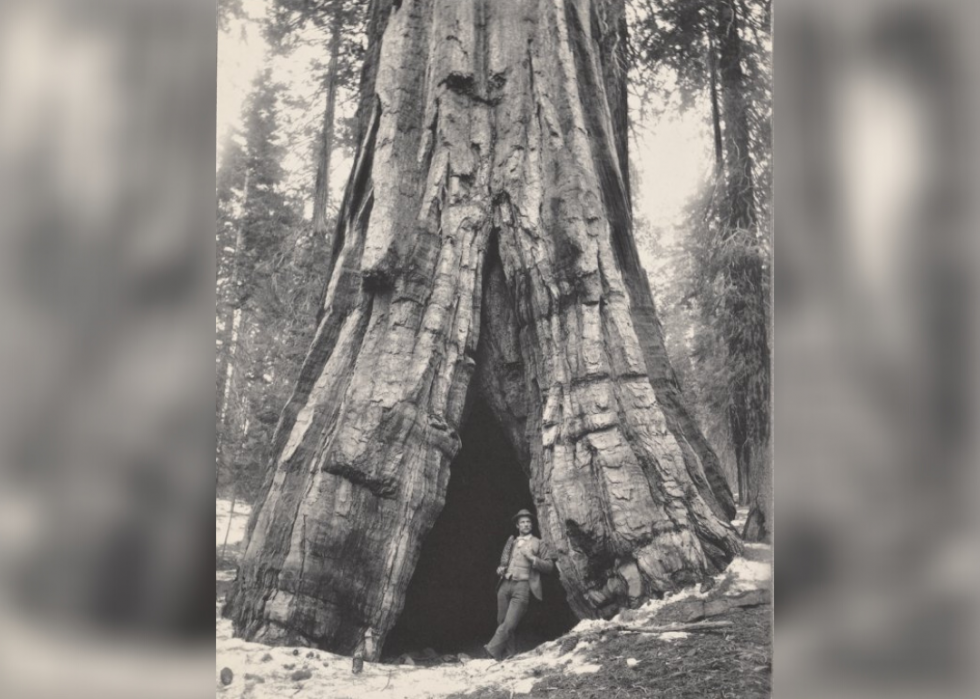 Des photos vintage qui montrent la beauté des parcs nationaux américains 