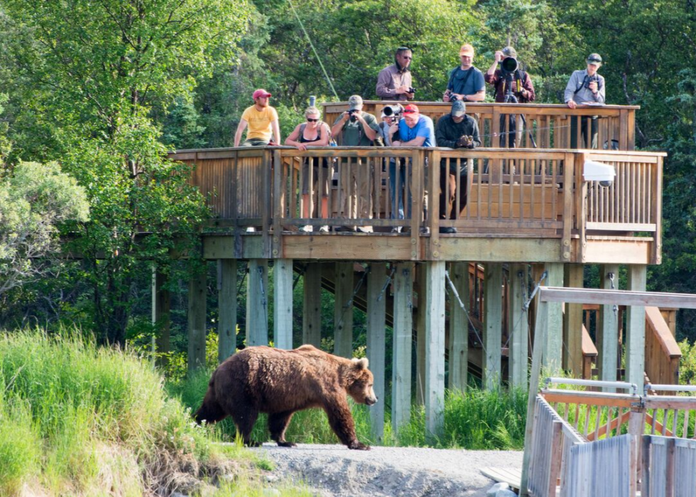 Activités incontournables dans tous les parcs nationaux 