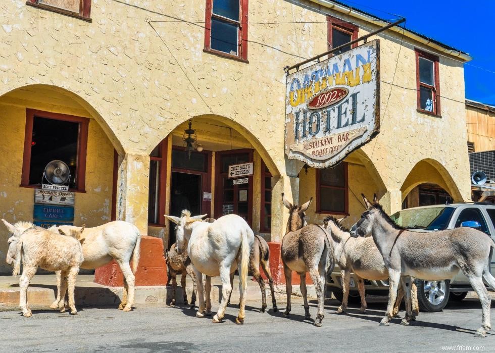 Main Street of America :les attractions de la Route 66 état par état 