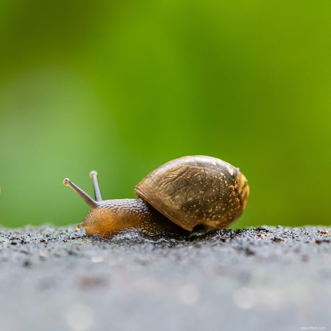 Si vous voyez ce motif sur votre porche, voici ce que cela signifie 