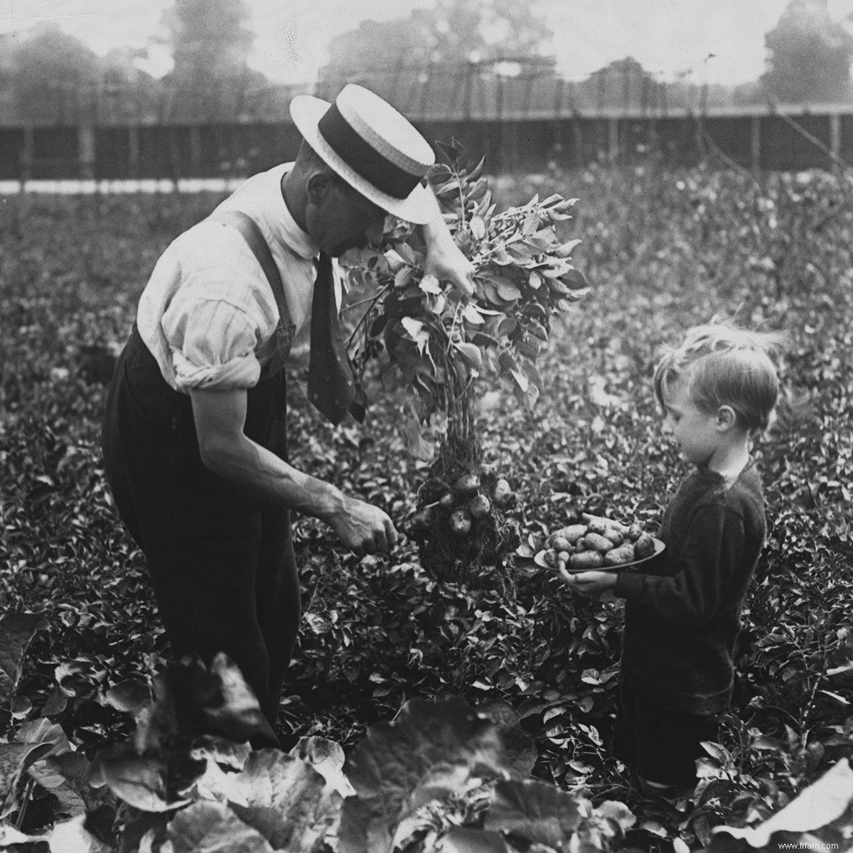 Qu est-ce qu un Jardin de la Victoire ? 