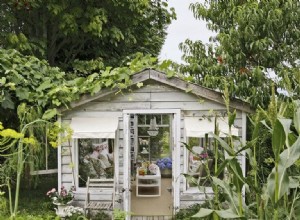 Les gens paniquent à propos de She Sheds :voici pourquoi vous devriez en construire un 