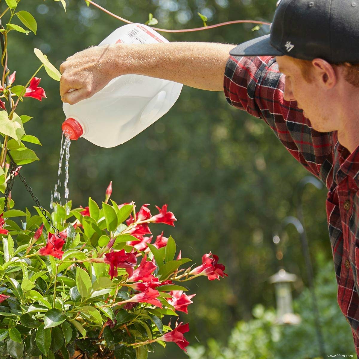 Comment transformer un pot à lait vide en arrosoir 