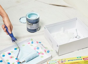 Trousse de peinture de retouche pour boîte à chaussures 