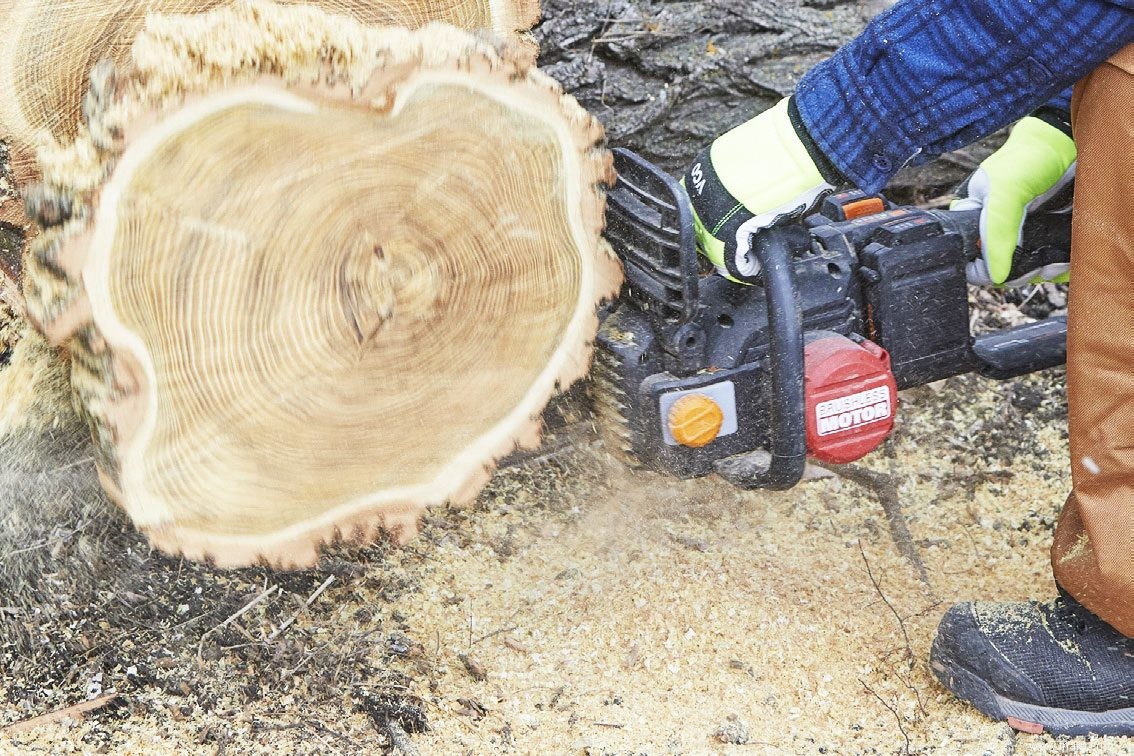 Les meilleures tronçonneuses sans fil testées par Family Handyman 