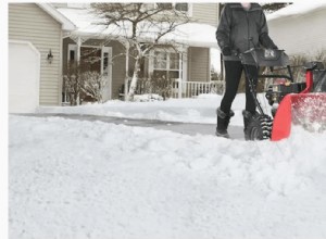 Aubaines que nous aimons :Souffleuse à neige à essence Craftsman 