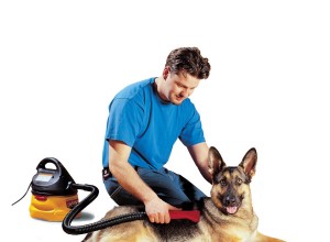 Ne brossez pas le chien, utilisez plutôt un aspirateur ! 