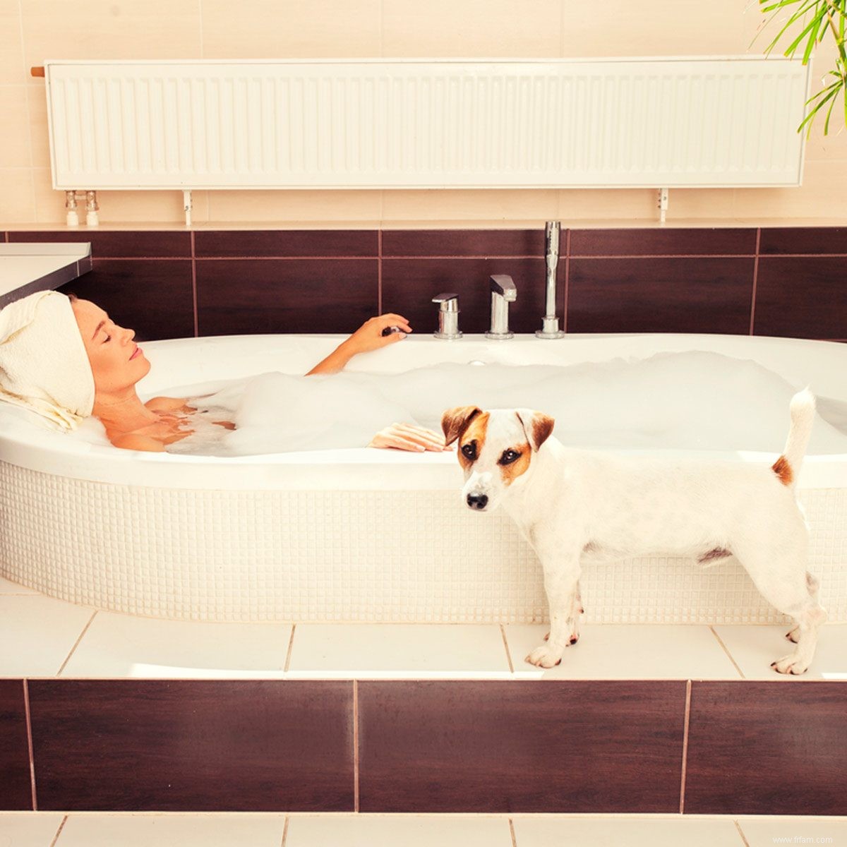 Pourquoi mon chien me suit-il dans la salle de bain ? 