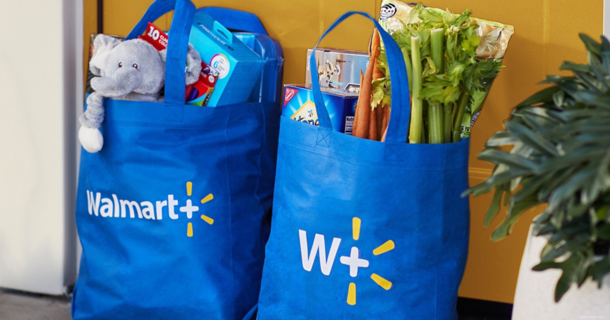 Amazon vs Walmart :ce qu il faut savoir avant d acheter en ligne 