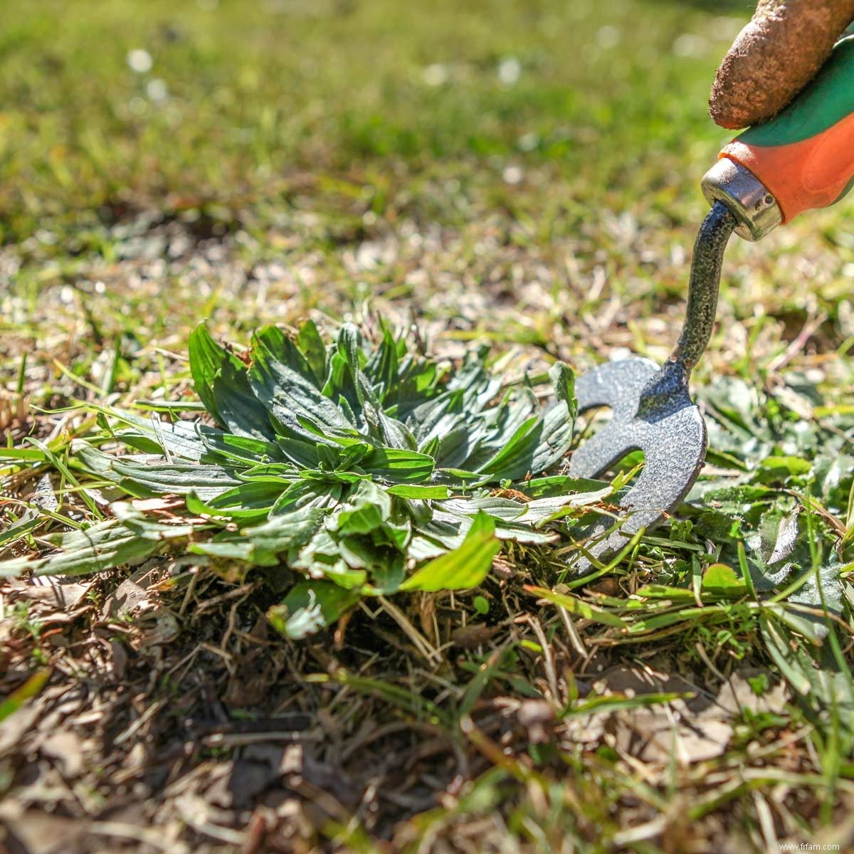 8 façons d utiliser les peluches de la sécheuse dans votre cour et votre jardin 