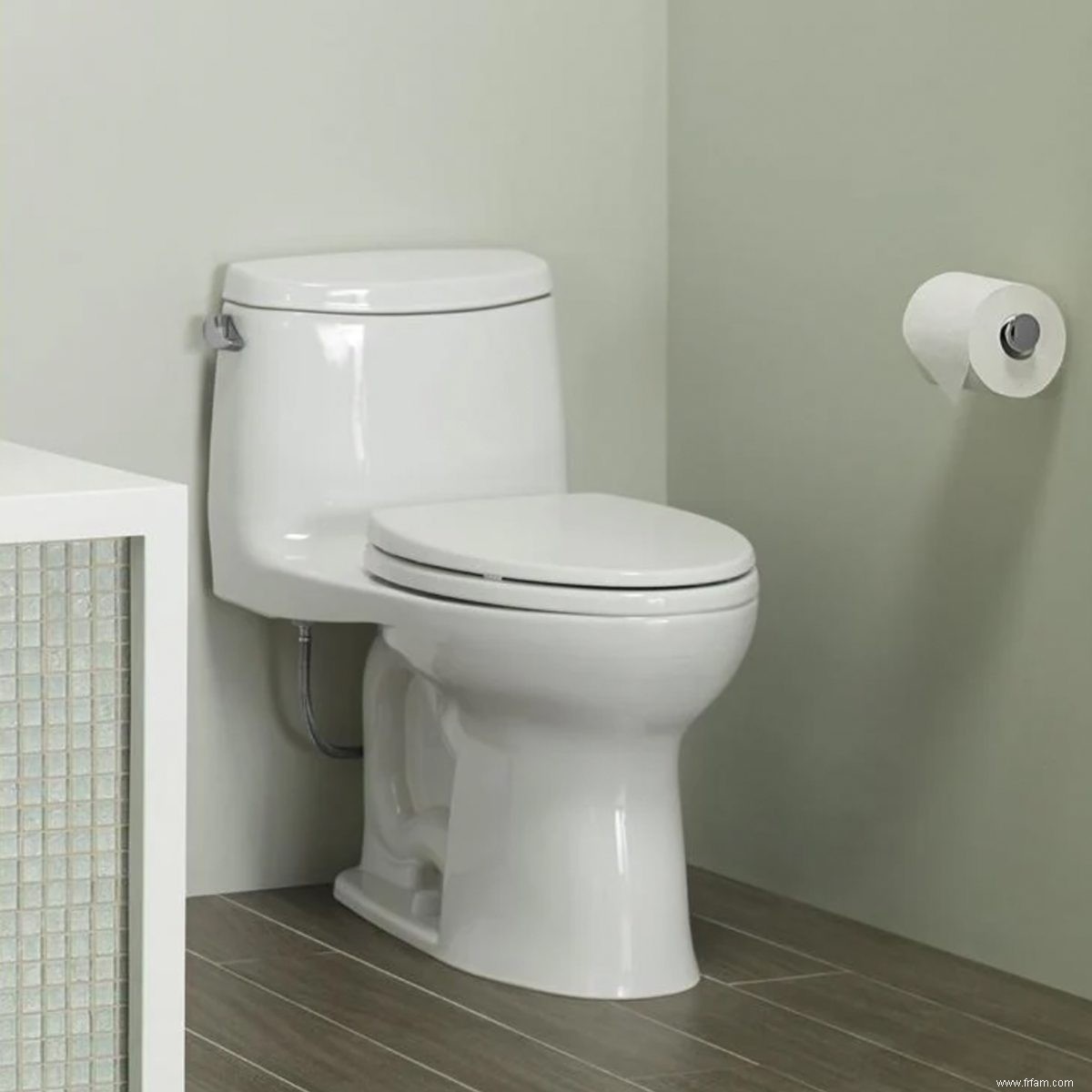 Guide d achat de toilettes :Types de toilettes et systèmes de chasse d eau 