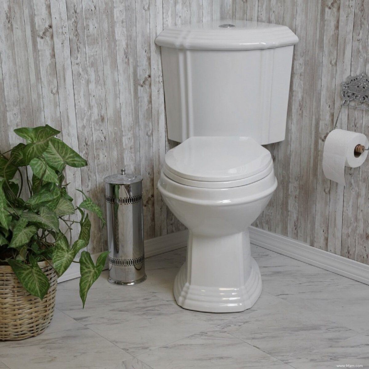 Guide d achat de toilettes :Types de toilettes et systèmes de chasse d eau 