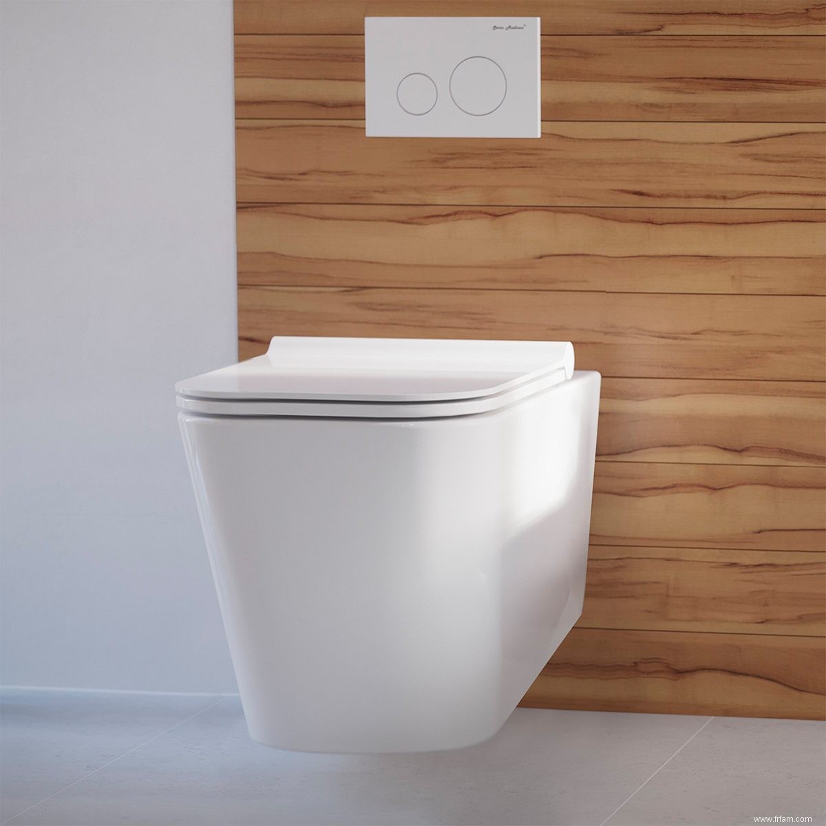 Guide d achat de toilettes :Types de toilettes et systèmes de chasse d eau 