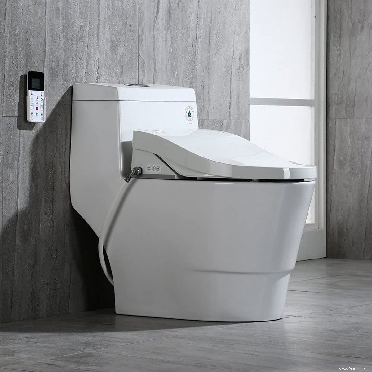 Guide d achat de toilettes :Types de toilettes et systèmes de chasse d eau 