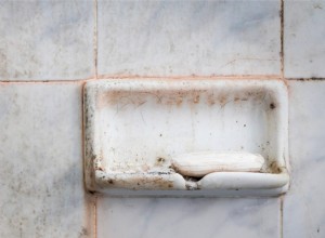 Qu est-ce que ce slime rose dégoûtant dans votre salle de bain ? 