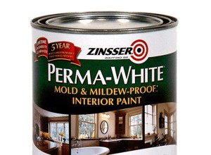 Tout savoir sur la peinture de salle de bain 