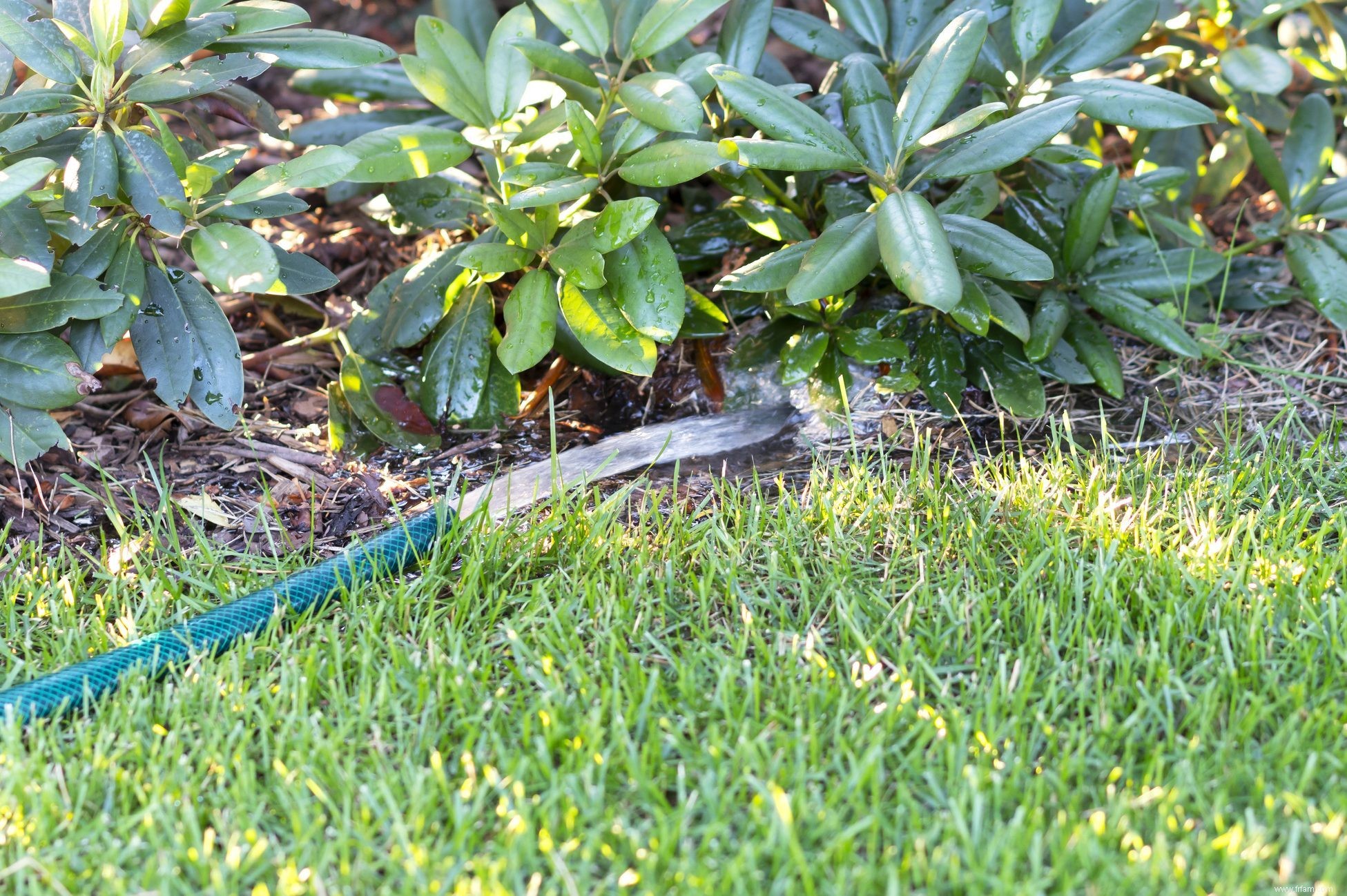 Comment préparer votre jardin pour l hiver 