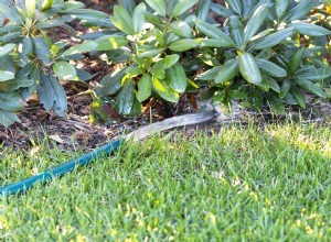 Comment préparer votre jardin pour l hiver 