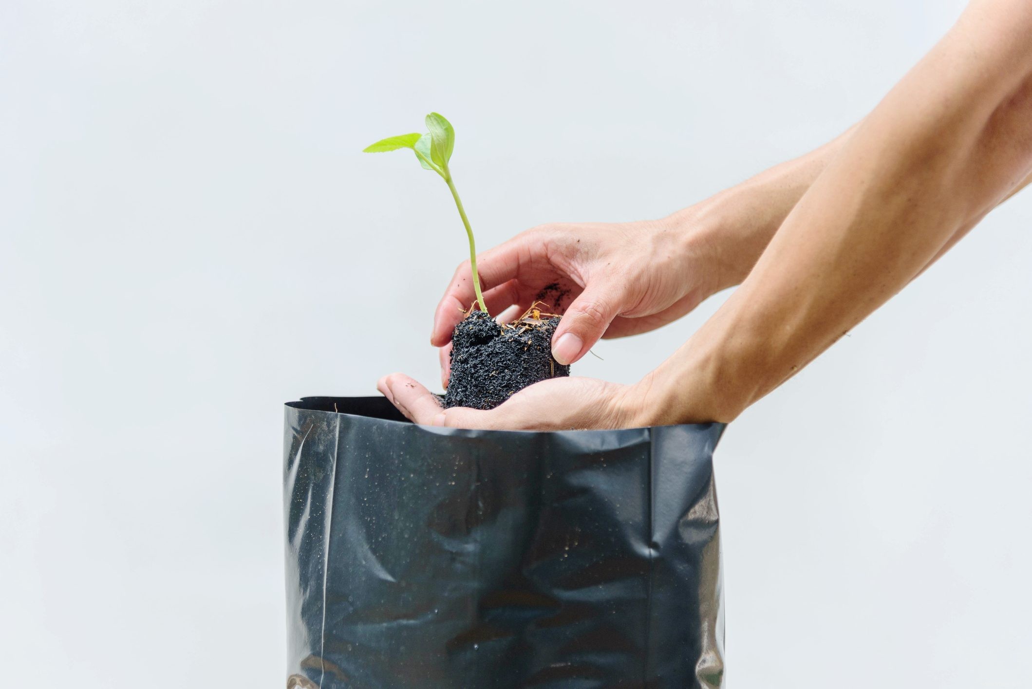 Comment utiliser les sacs de culture dans votre jardin 