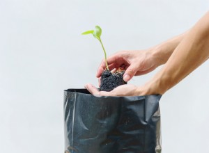 Comment utiliser les sacs de culture dans votre jardin 