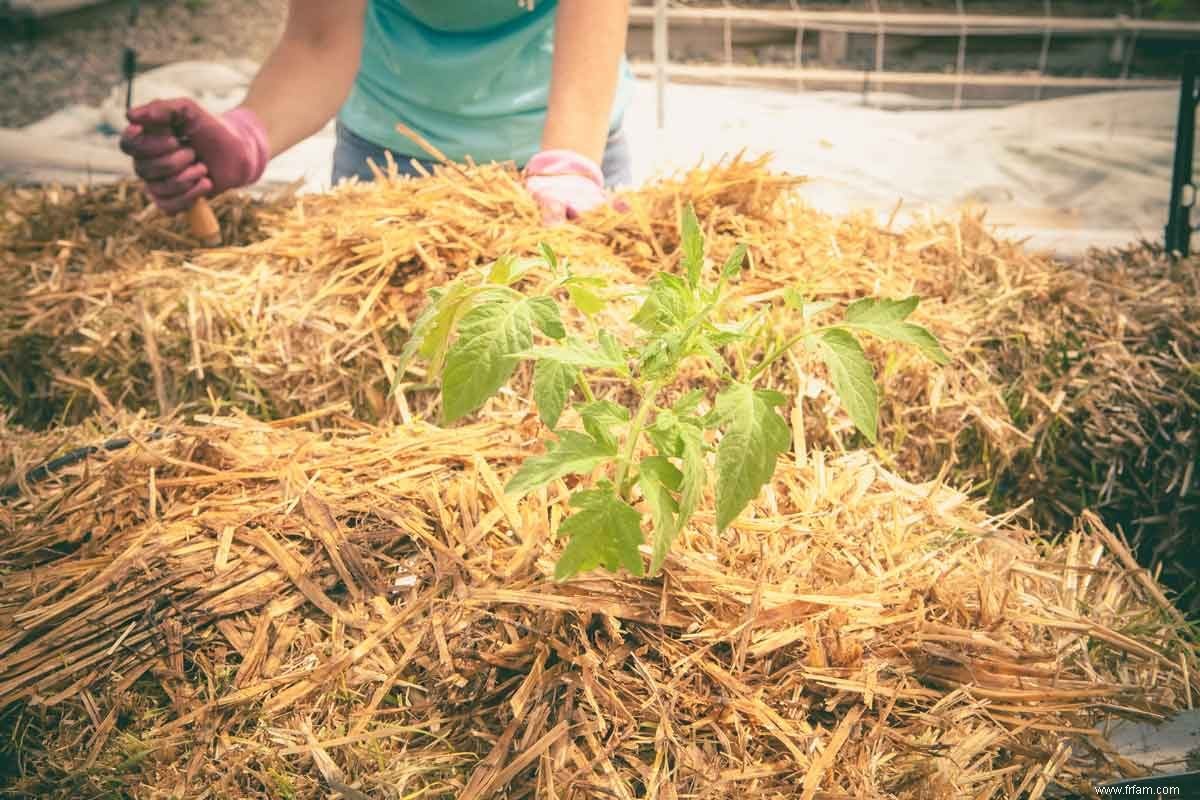 Ce qu il faut savoir sur le jardinage en balles de foin 