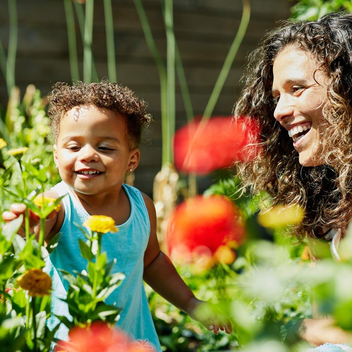 Principes de base du jardinage pour garder les plantes en bonne santé 