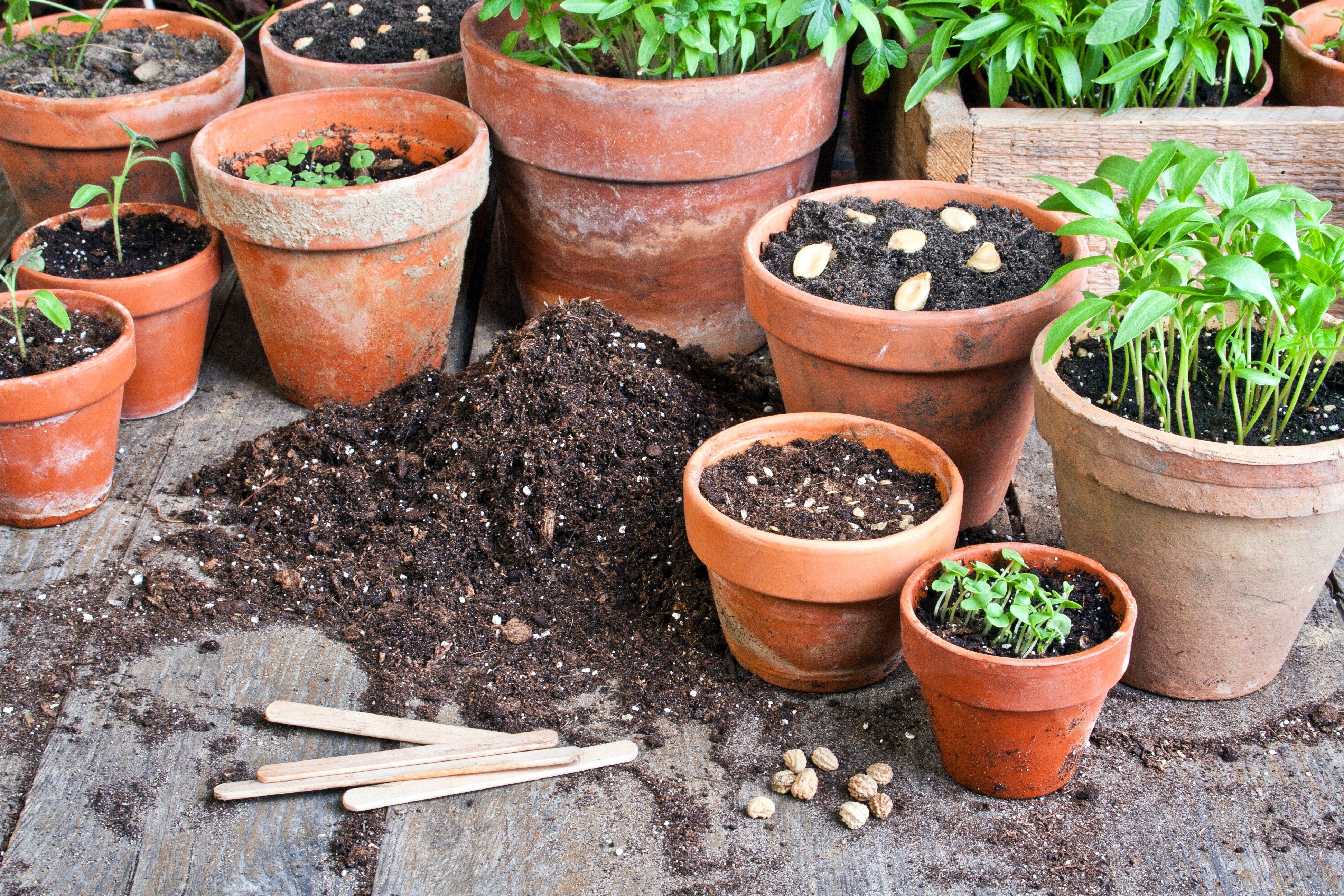 Les 7 choses à faire et à ne pas faire avec les conteneurs de jardin 