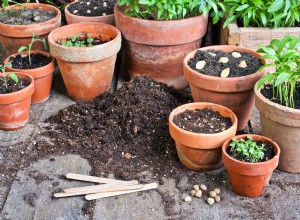 Les 7 choses à faire et à ne pas faire avec les conteneurs de jardin 