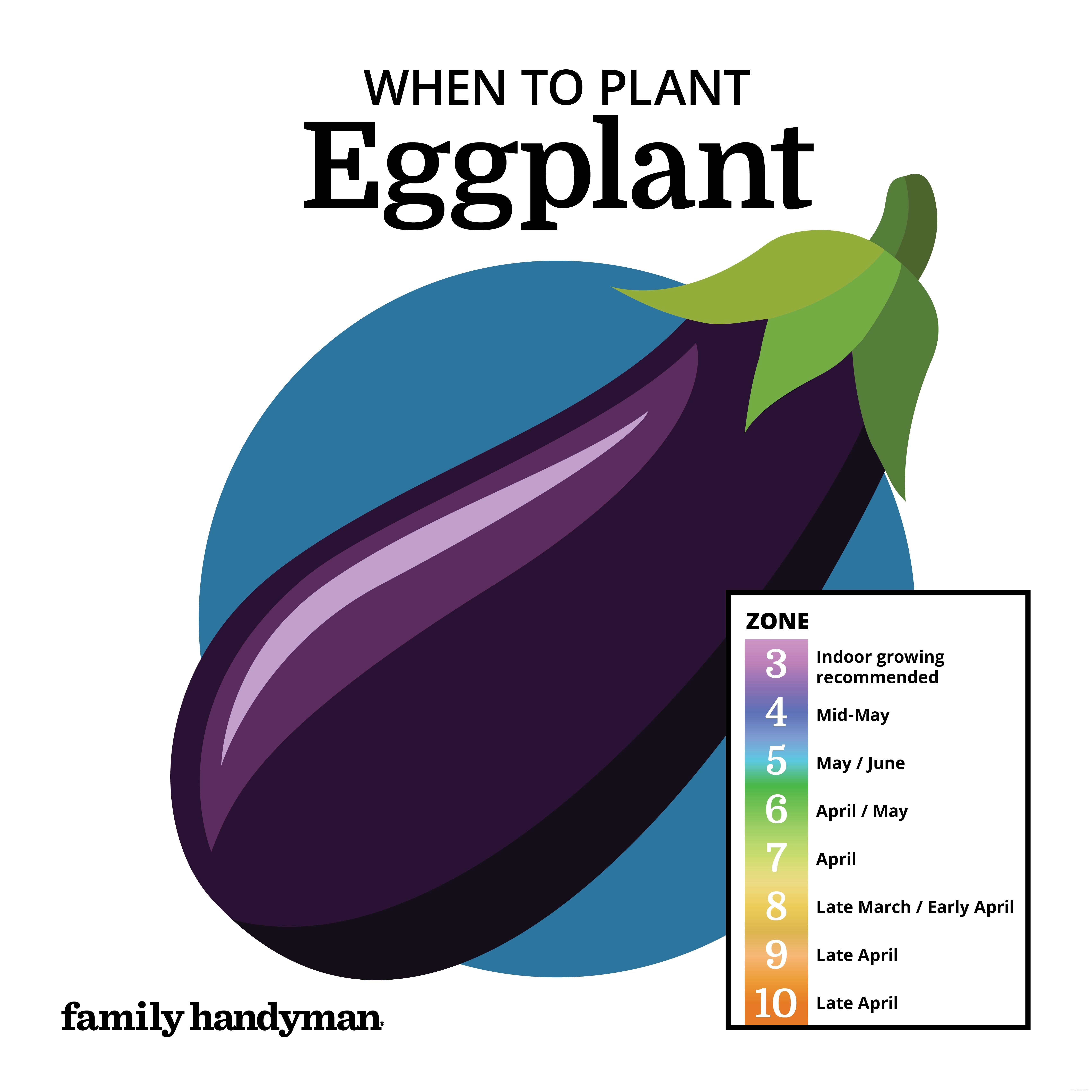 Calendrier de plantation :quand planter ces légumes populaires 