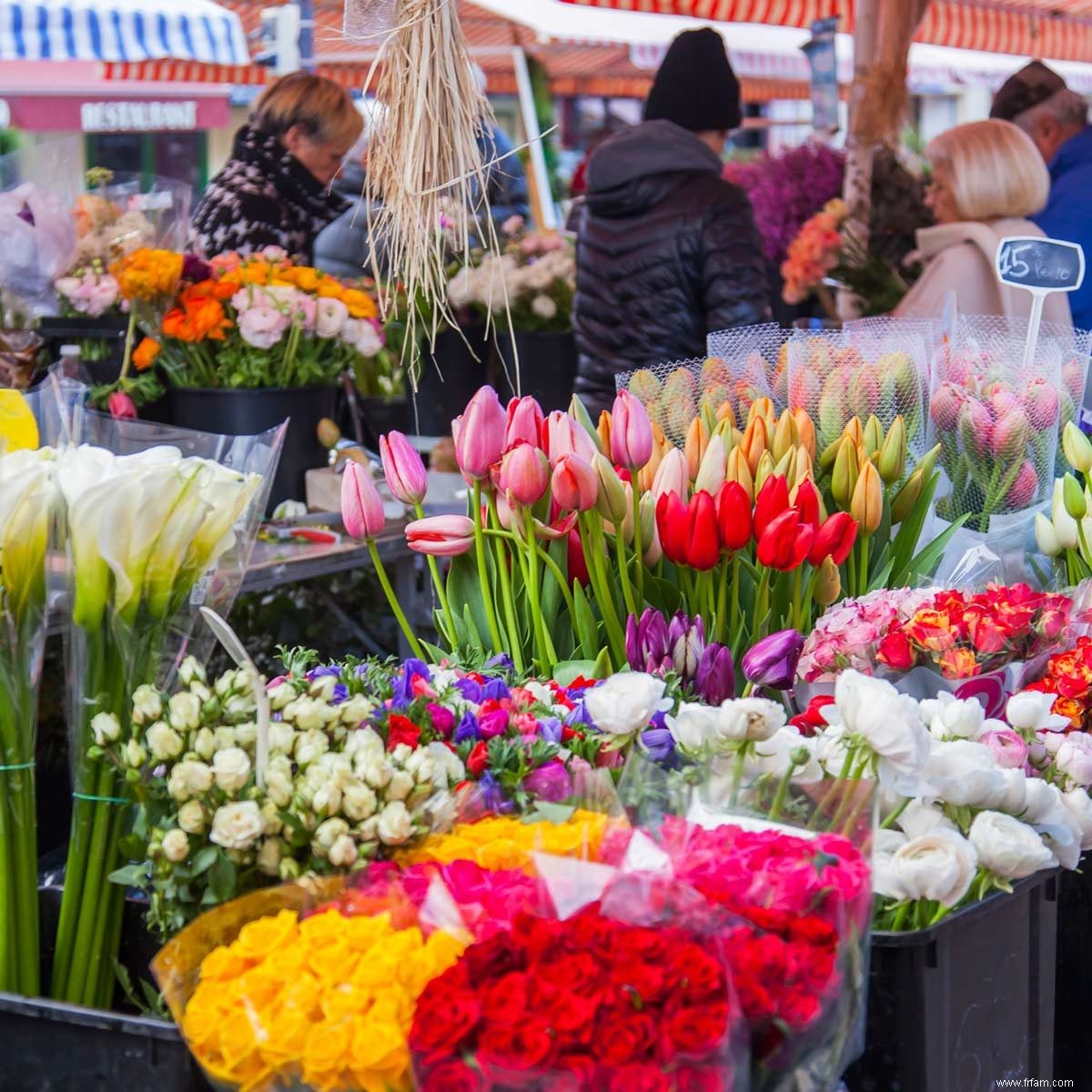 Comment trouver les meilleures fleurs du marché fermier pour votre maison 