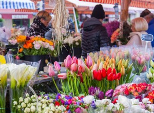 Comment trouver les meilleures fleurs du marché fermier pour votre maison 