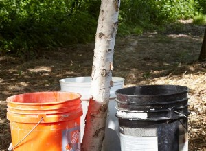 Hack de seau de 5 gallons :meilleur arrosage des arbres 