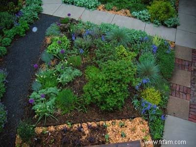 Xeriscape Gardening :Cultiver des plantes avec moins d eau 