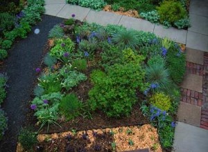 Xeriscape Gardening :Cultiver des plantes avec moins d eau 