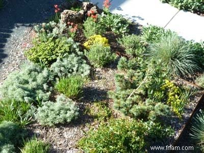 Xeriscape Gardening :Cultiver des plantes avec moins d eau 