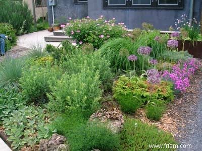 Xeriscape Gardening :Cultiver des plantes avec moins d eau 