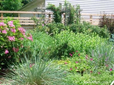 Xeriscape Gardening :Cultiver des plantes avec moins d eau 