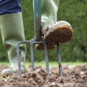 Créer un nouveau jardin :choisir le bon site 